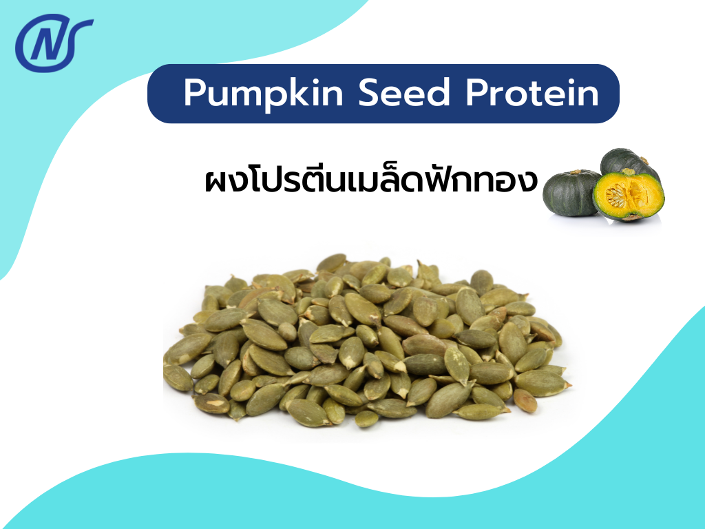 Pumpkin Seed Protein